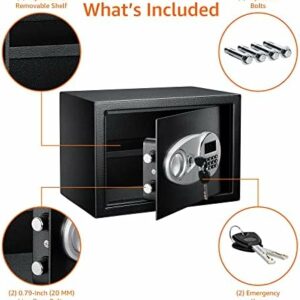 Amazon Basics Steel Security Safe and Lock Box with Electronic Keypad