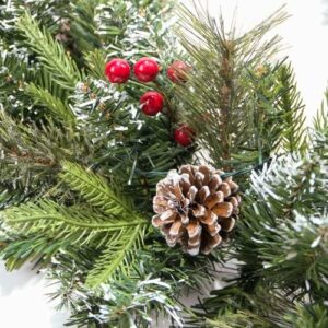 HomeKaren Indoor and Outdoor Christmas Garland Snowy 9ft with 50 Lights and Timer