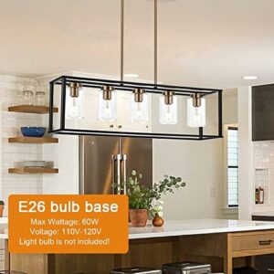VINLUZ Farmhouse Chandelier for Kitchen Island with Clear Glass and Black Shade